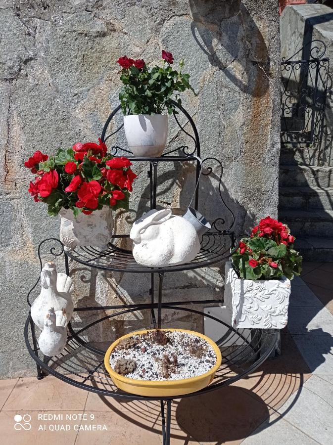 Casa Dell'Aura Bed & Breakfast Chiavari Dış mekan fotoğraf